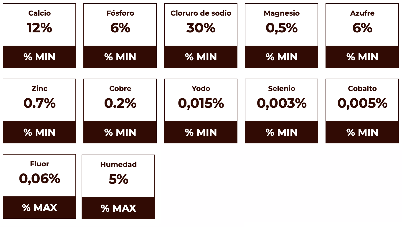 Maxisal cría carne